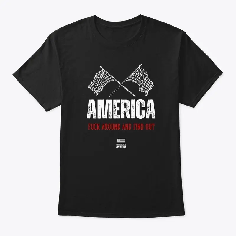 AMERICA - FUCK AROUND